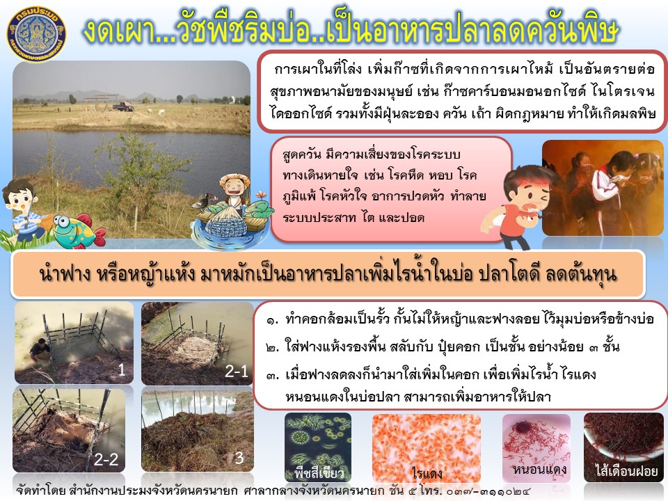 งดเผา..วัชพืชริมบ่อ..เป็นอาหารปลาลดควันพิษ