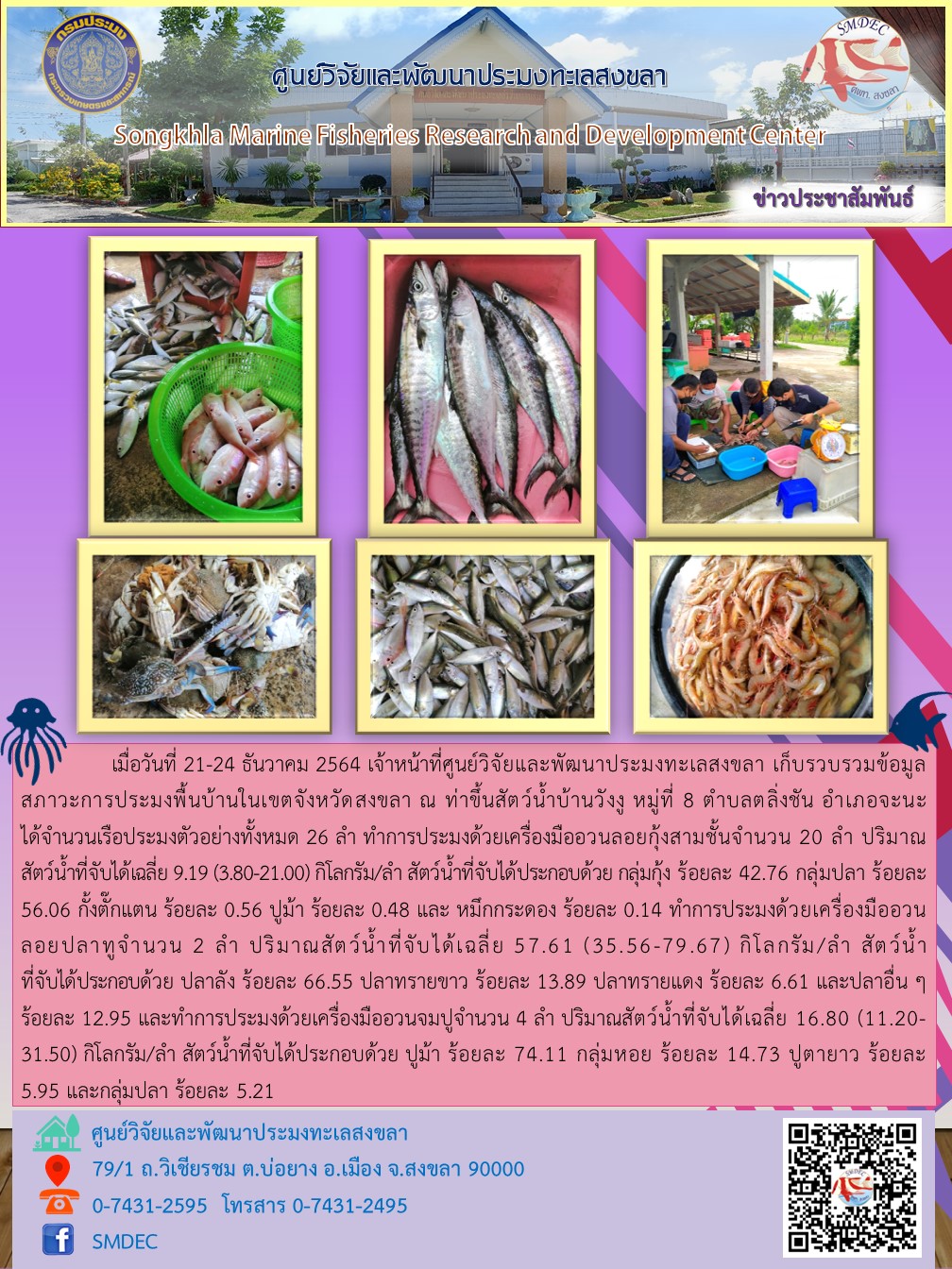 เมื่อวันที่ 21-24 ธันวาคม 2564 เจ้าหน้าที่ศูนย์วิจัยและพัฒนาประมงทะเลสงขลา เก็บรวบรวมข้อมูลสภาวะการประมงพื้นบ้านในเขตจังหวัดสงขลา ณ ท่าขึ้นสัตว์น้ำบ้านวังงู หมู่ที่ 8 ตำบลตลิ่งชัน อำเภอจะนะ ได้จำนวนเรือประมงตัวอย่างทั้งหมด 26 ลำ..คลิก