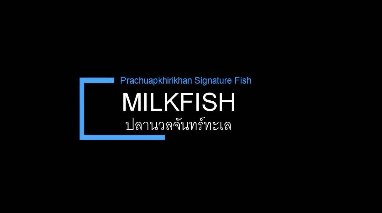 Ep.1 การเพาะพันธ์ุปลานวลจันทร์ทะเล