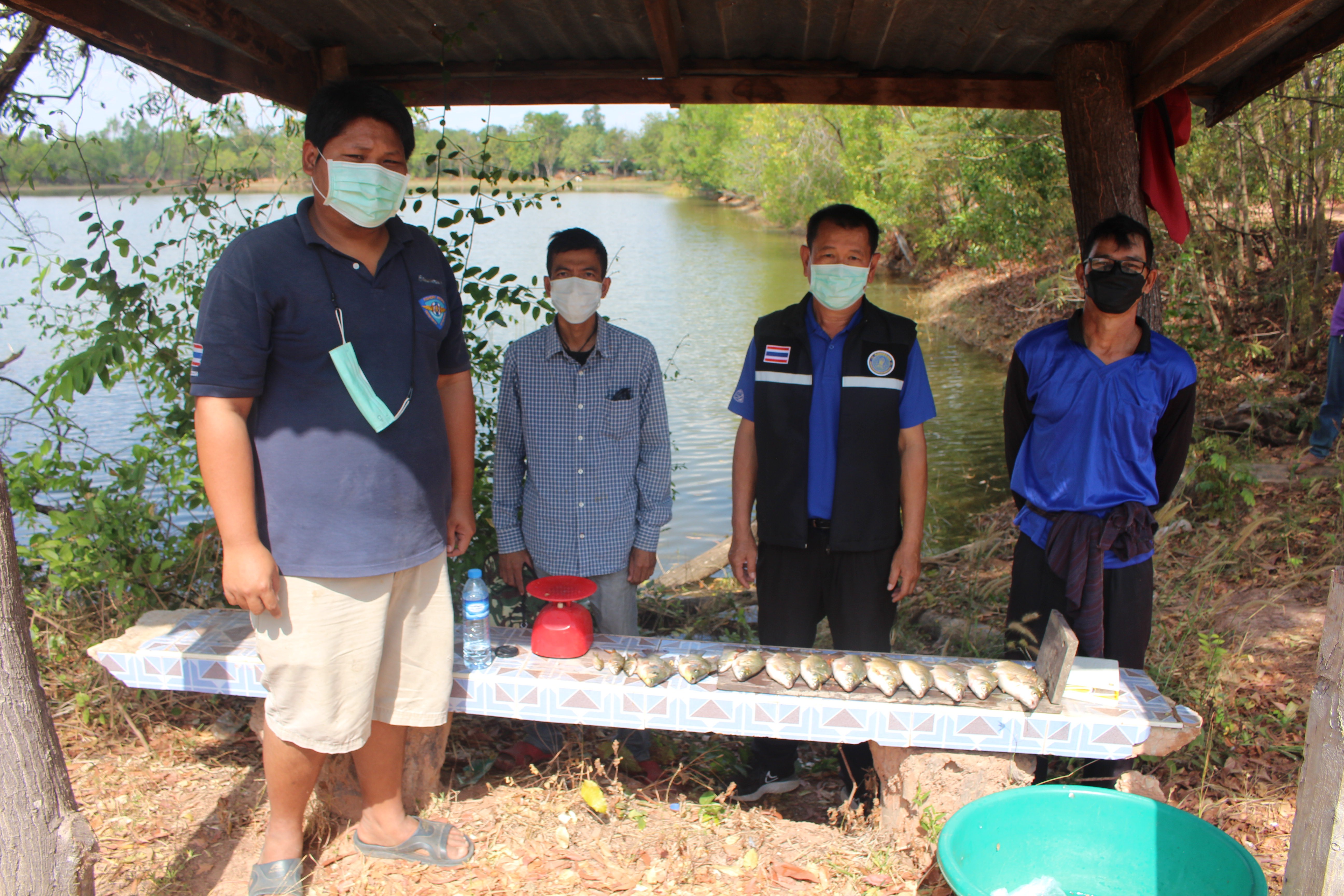 สุ่ม/สำรวจผลผลิตก่อนดำเนินโครงการธนาคารสินค้าเกษตร (กิจกรรมสนับสนุนธนาคารผลผลิตสัตว์น้ำแบบมีส่วนร่วม) ปี ๒๕๖๕ ทำนบปลาหัวหน้าน้อย บ้านสว่างนาฝาย ตำบลพระเหลา อำเภอพนา จังหวัดอำนาจเจริญ..คลิก
