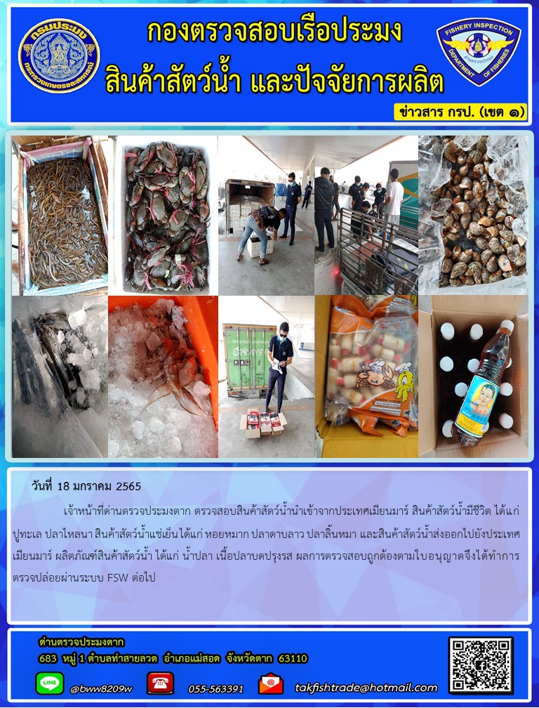 วันที่ 18 มกราคม 2565   	     เจ้าหน้าที่ด่านตรวจประมงตาก ตรวจสอบสินค้าสัตว์น้ำนำเข้าจากประเทศเมียนมาร์ สินค้าสัตว์น้ำมีชีวิต ได้แก่ ปูทะเล ปลาไหลนา สินค้าสัตว์น้ำแช่เย็น ได้แก่ หอยหมาก ปลาดาบลาว ปลาลิ้นหมา และสินค้าสัตว์น้ำส่งออกไปยังประเทศเมียนมาร์ ผลิตภัณฑ์สินค้าสัตว์น้ำ ได้แก่ น้ำปลา เนื้อปลาบดปรุงรส ผลการตรวจสอบถูกต้องตามใบอนุญาตจึงได้ทำการตรวจปล่อยผ่านระบบ FSW ต่อไป