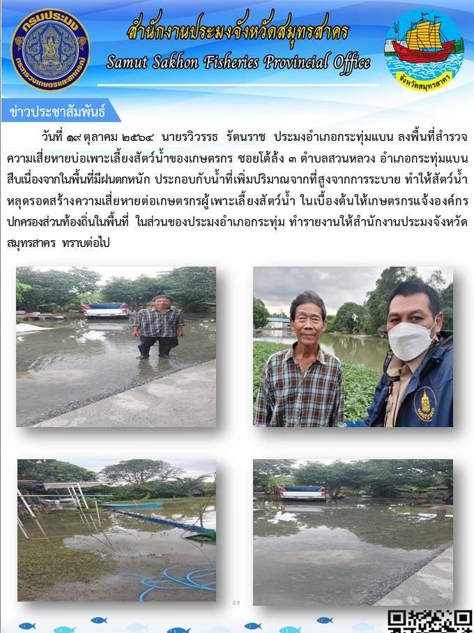 ลงพื้นที่สำรวจความเสียหายบ่อเพาะเลี้ยงสัตว์น้ำของเกษตรกร ซองโต้ล้ง 3 ตำบลสวนหลวง อำเภอกระทุ่มแบน  สืบเนื่องจากพื้นที่ที่มีฝนตกหนัก ประกอบกับน้ำเพิ่มปริมาณจากที่สูงจากการระบายทไให้สัตว์น้ำหลุดรอดสร้างความเสียหายต่อเกษตรกรผู้เพาะเลี้ยงสัตว์น้ำ..คลิก