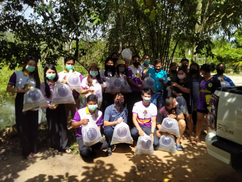 สนับสนุนพันธุ์ปลากินพืช เพื่อปล่อยลงสู่ลำน้ำบ้านสาโหด จังหวัดพัทลุง..คลิก