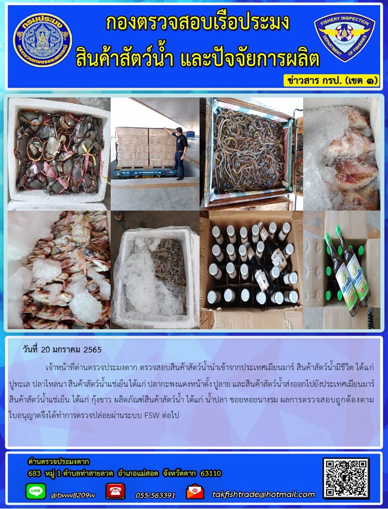 วันที่ 20 มกราคม 2565   	     เจ้าหน้าที่ด่านตรวจประมงตาก ตรวจสอบสินค้าสัตว์น้ำนำเข้าจากประเทศเมียนมาร์ สินค้าสัตว์น้ำมีชีวิต ได้แก่ ปูทะเล ปลาไหลนา สินค้าสัตว์น้ำแช่เย็น ได้แก่ ปลากะพงแดงหน้าตั้ง ปูลาย และสินค้าสัตว์น้ำส่งออกไปยังประเทศเมียนมาร์  สินค้าสัตว์น้ำแช่เย็น ได้แก่ กุ้งขาว ผลิตภัณฑ์สินค้าสัตว์น้ำ ได้แก่ น้ำปลา ซอยหอยนางรม ผลการตรวจสอบถูกต้องตามใบอนุญาตจึงได้ทำการตรวจปล่อยผ่านระบบ FSW ต่อไป
