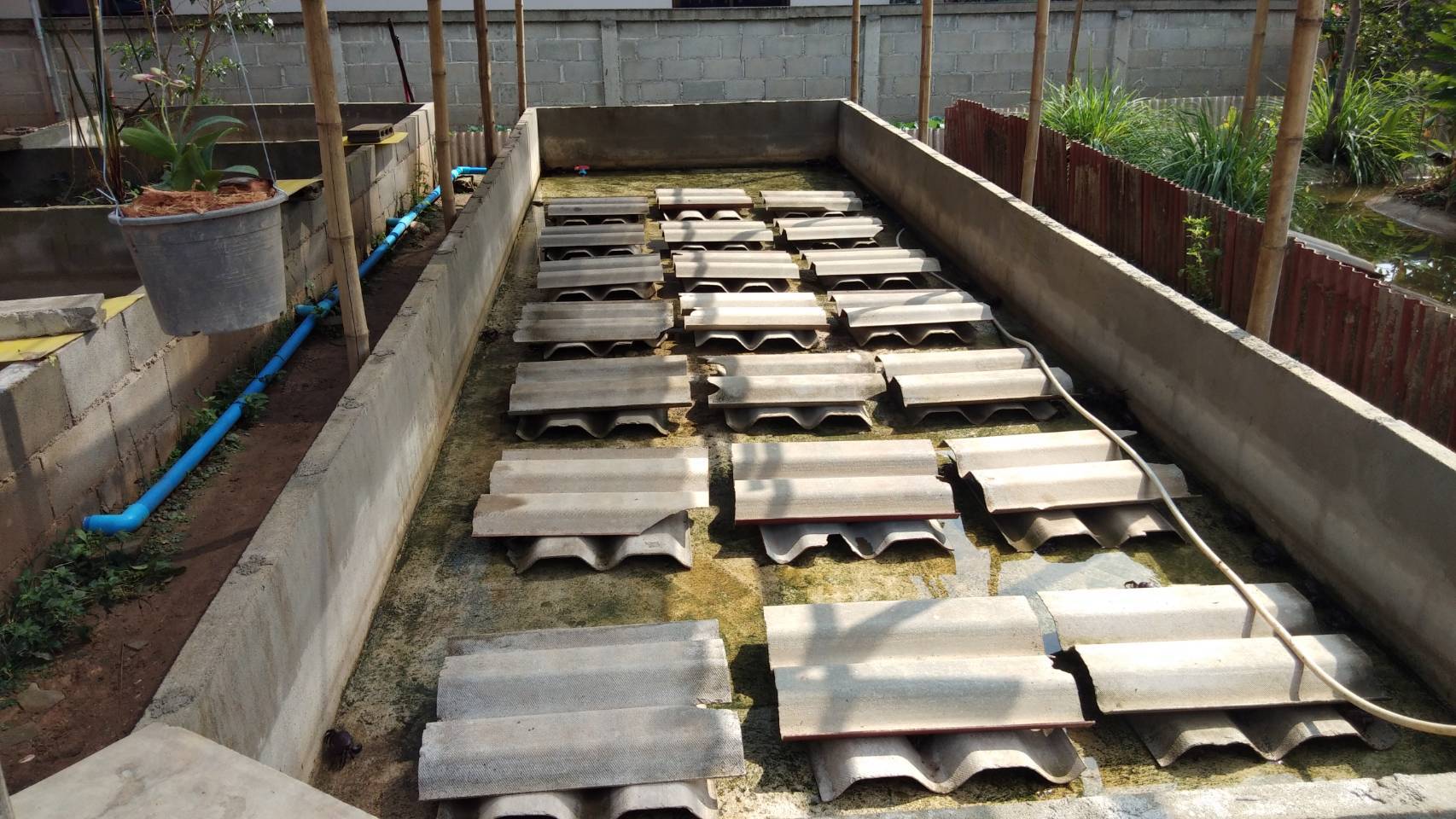 ตรวจฟาร์มสัตว์น้ำที่ขอมาตราฐานฟาร์มเพาะเลี้ยงสัตว์น้ำ (GAP)