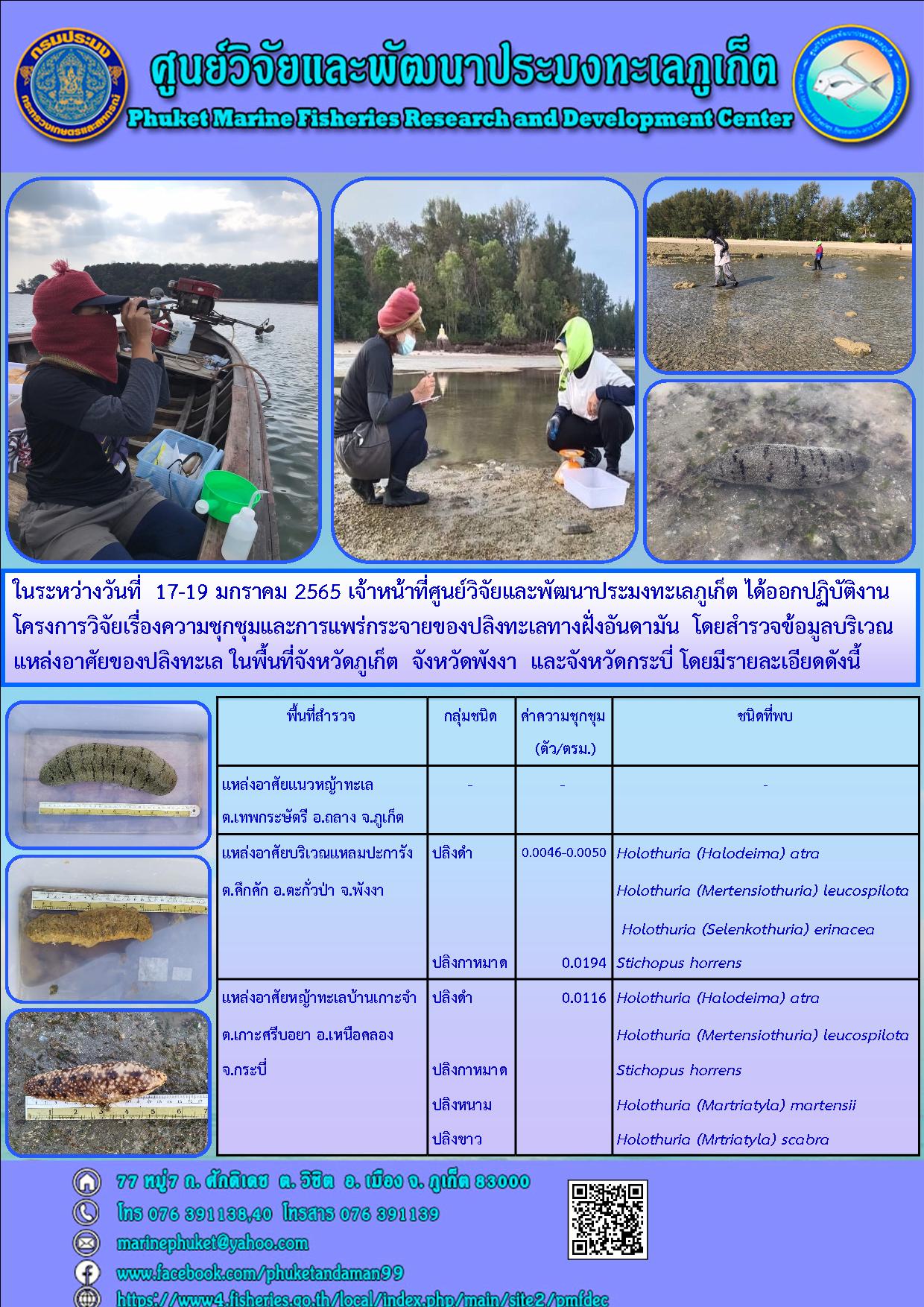 ในระหว่างวันที่ 17-19 มกราคม 2565 เจ้าหน้าที่ศูนย์วิจัยและพัฒนาประมงทะเลภูเก็ต ได้ออกปฏิบัติงานโครงการวิจัยเรื่องความชุกชุมและการแพร่กระจายของปลิงทะเลทางฝั่งอันดามัน โดยสำรวจข้อมูลบริเวณแหล่งอาศัยแนวหญ้าทะเล ในพื้นที่จังหวัดภูเก็ต จังหวัดพังงาและจังหวัดกระบี่..คลิก