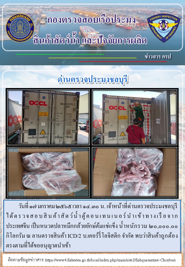 การปฏิบัติงานของเจ้าหน้าที่ด่านตรวจประมงชลบุรีประจำวันที่ 17 มกราคม 2565..คลิก