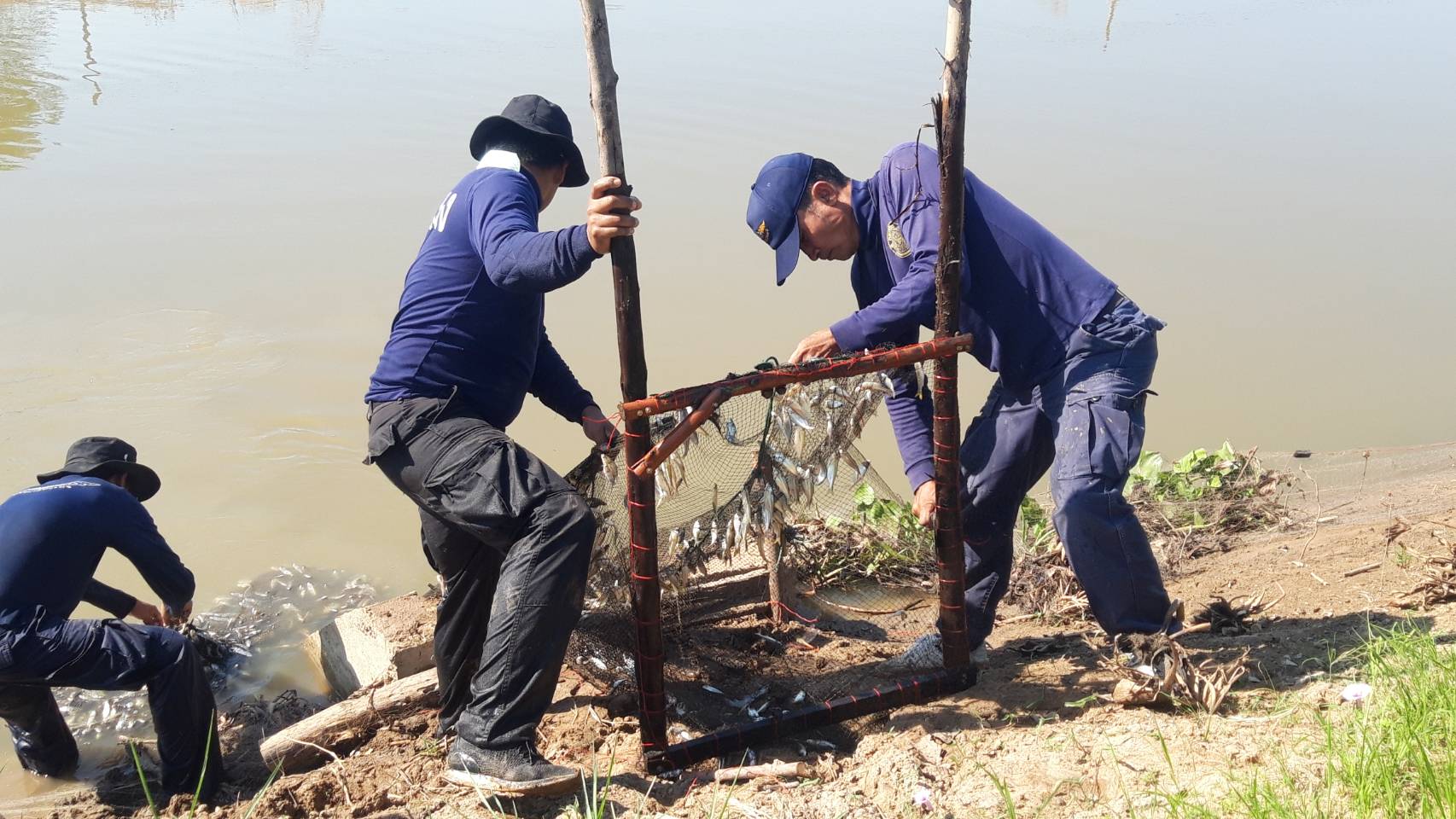 ปฏิบัติงานควบคุมการทำประมงในเขตพื้นที่จังหวัดพระนครศรีอยุธยา