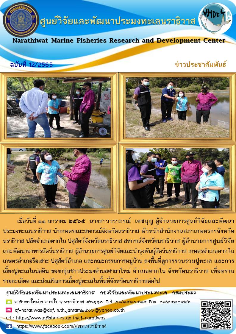 หัวหน้าส่วนราชการในจังหวัดนราธิวาส เยี่ยมชม การรวบรวมปูทะเล และการเลี้ยงปูทะเลในบ่อดิน ของกลุ่มชาวประมงในพื้นที่ อำเภอตากใบ จังหวัดนราธิวาส..คลิก