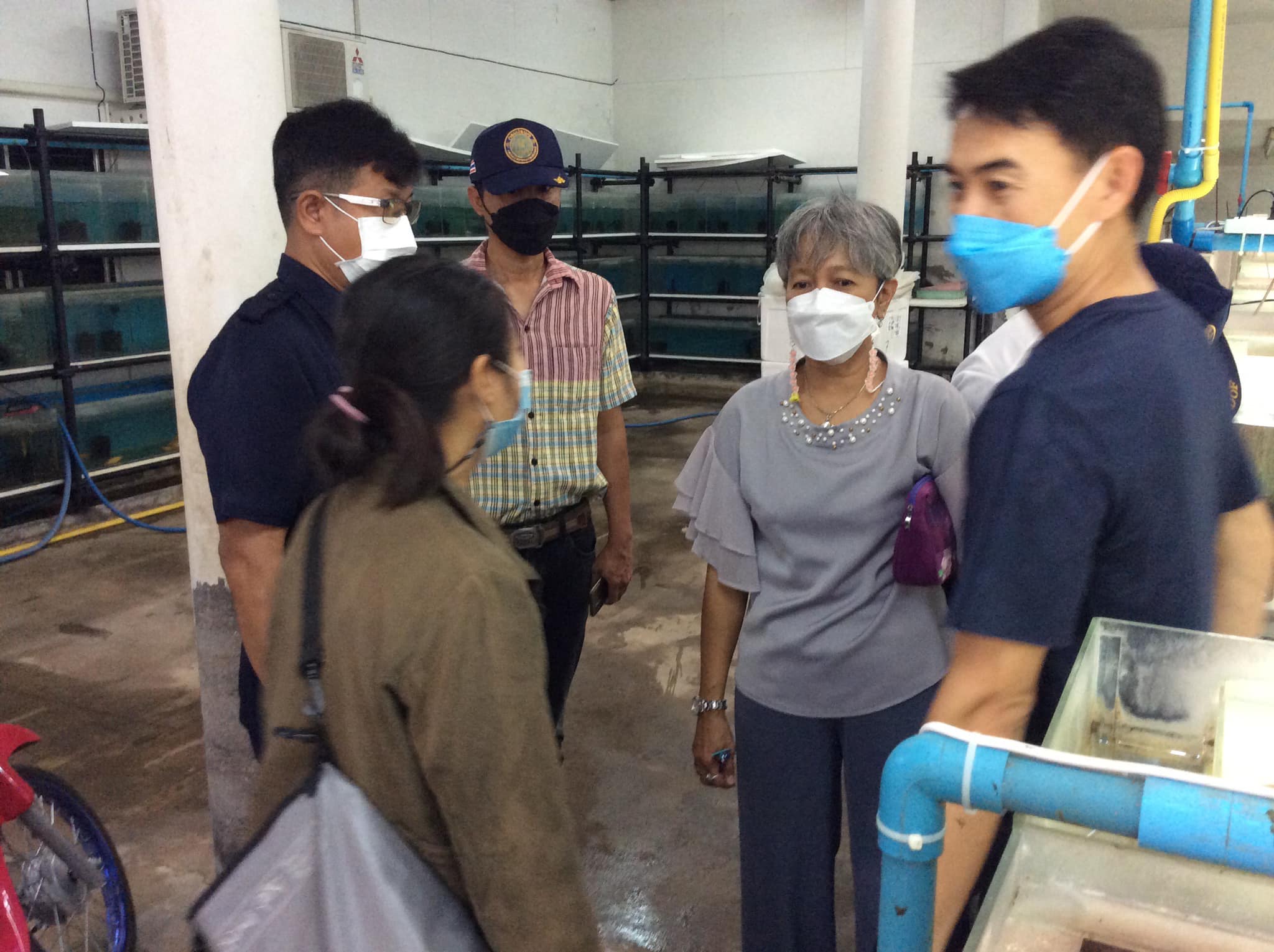 ลงพื้นที่เพื่อดำเนินการตรวจประเมินเพื่อขอหนังสือรับรองสถานที่ทำการเพาะเลี้ยงสัตว์น้ำชนิดที่ใกล้สูญพันธุ์จากธรรมชาติเพื่อการส่งออก อำเภอบ้านโป่ง..คลิก