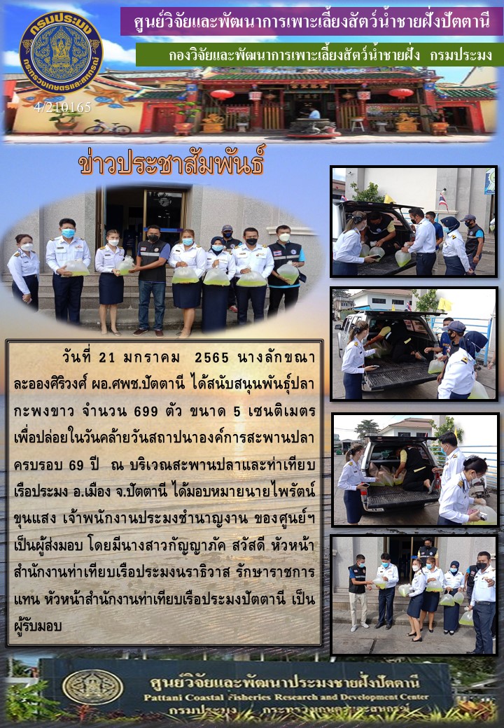 สนับสนุนพันธุ์ปลากะพงขาว จำนวน 699 ตัว เพื่อปล่อยในวันคล้ายวันสถาปนาองค์การสะพานปลาครบรอบ 69 ปี..คลิก