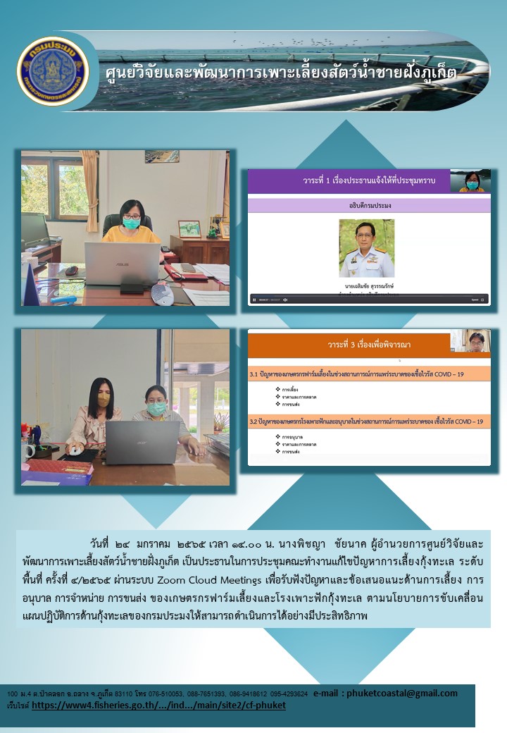 วันที่  24  มกราคม  2565 เวลา 14.00 น. นางพิชญา  ชัยนาค ผู้อำนวยการศูนย์วิจัยและพัฒนาการเพาะเลี้ยงสัตว์น้ำชายฝั่งภูเก็ต เป็นประธานในการประชุมคณะทำงานแก้ไขปัญหาการเลี้ยงกุ้งทะเล ระดับพื้นที่ ครั้งที่ 4/2565 ผ่านระบบ Zoom Cloud Meetings เพื่อรับฟังปัญหาและข้อเสนอแนะด้านการเลี้ยง การอนุบาล การจำหน่าย การขนส่ง ของเกษตรกรฟาร์มเลี้ยงและโรงเพาะฟักกุ้งทะเล ตามนโยบายการขับเคลื่อนแผนปฏิบัติการด้านกุ้งทะเลของกรมประมงให้สามารถดำเนินการได้อย่างมีประสิทธิภาพ