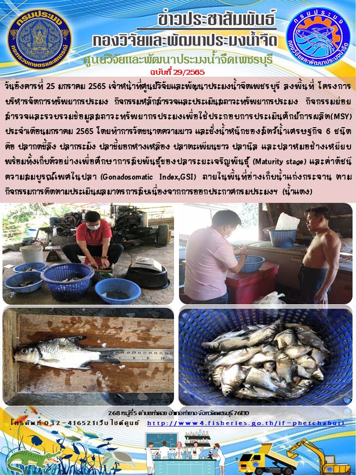 ข่าวประชาสัมพันธ์ครั้งที่ 29/2565