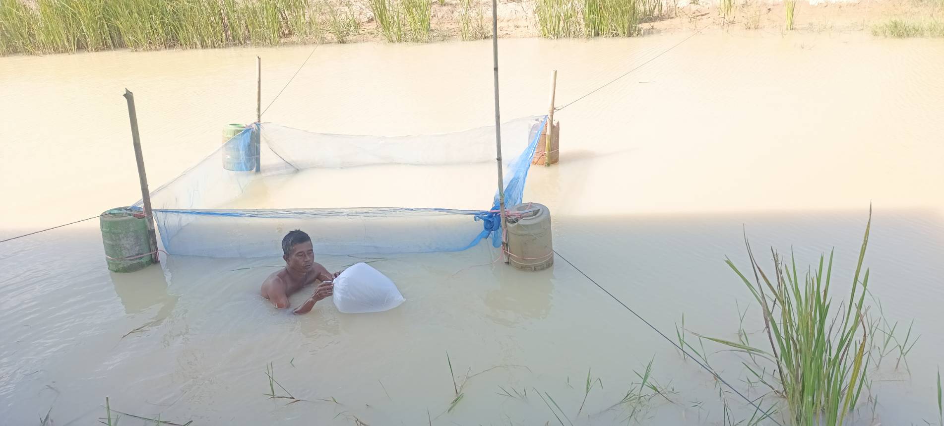 สนับสนุนพันธุ์ปลานิลให้กับเกษตรกรที่เข้าร่วมโครงการ 1 ตำบล 1 กลุ่มเกษตรทฤษฎึใหม่ และได้รับความเสียหายจากอุทกภัย ปี 2564