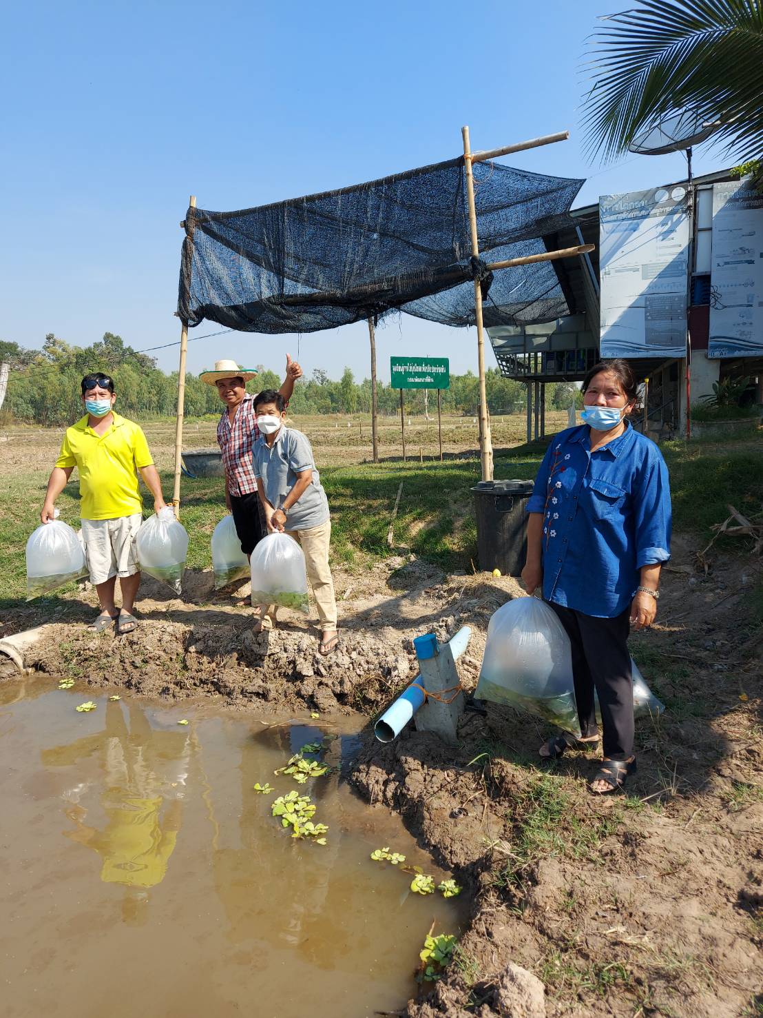 ประมงอำเภอม่วงสามสิบ  นำพันธุ์ปลา ตะเพียนขาว และปลานิล  ลงปล่อยอนุบาลในบ่อสาธิตการเลี้ยงปลาในนาข้าวอินทรีย์ ภายในศูนย์เครือข่ายด้านการประมง อำเภอม่วงสามสิบ จังหวัดอุบลราชธานี..คลิก