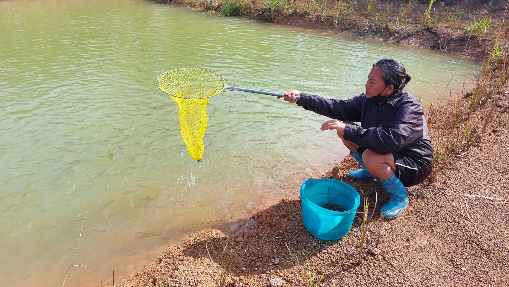 ประมงอำเภอตะโหมด ติดตามเกษตรกรที่เข้าร่วมโครงการ  1 ตำบล 1 กลุ่มเกษตรทฤษฎีใหม่ ปี พ.ศ. 2564