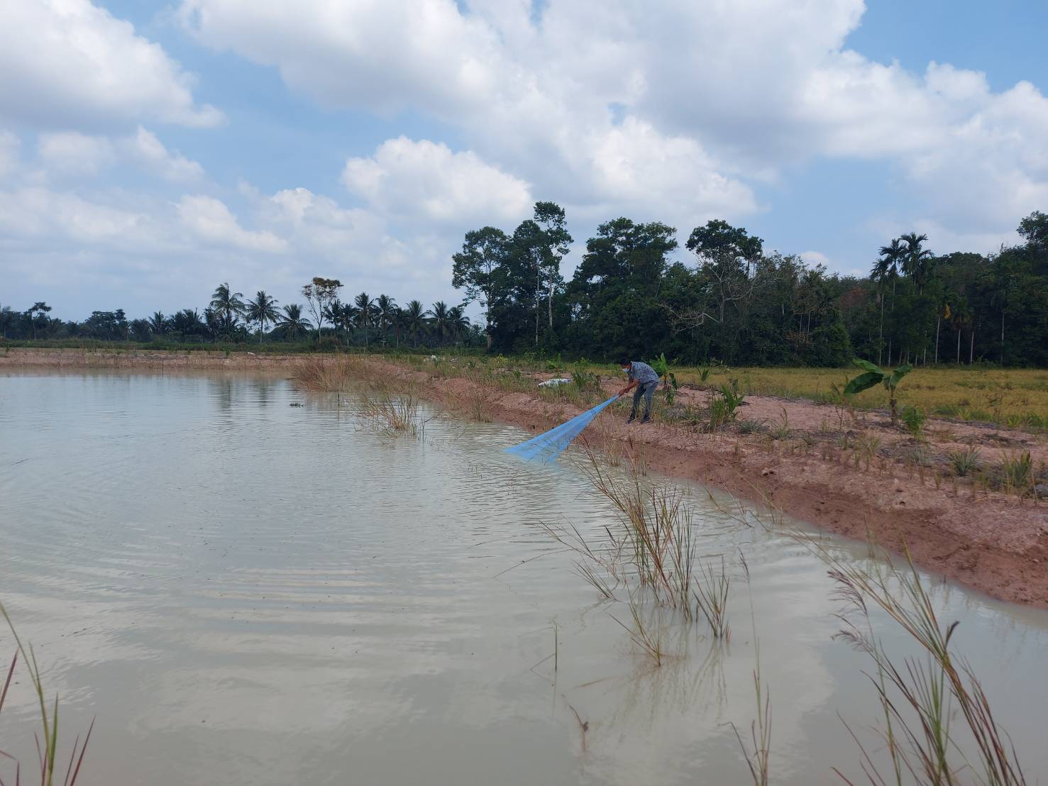 ติดตามและประเมินผลการเลี้ยงปลาของเกษตรกรอำเภอป่าพะยอมที่เข้าร่วมโครงการ 1 ตำบล 1กลุ่มเกษตรทฤษฎีใหม่ ปี 2564