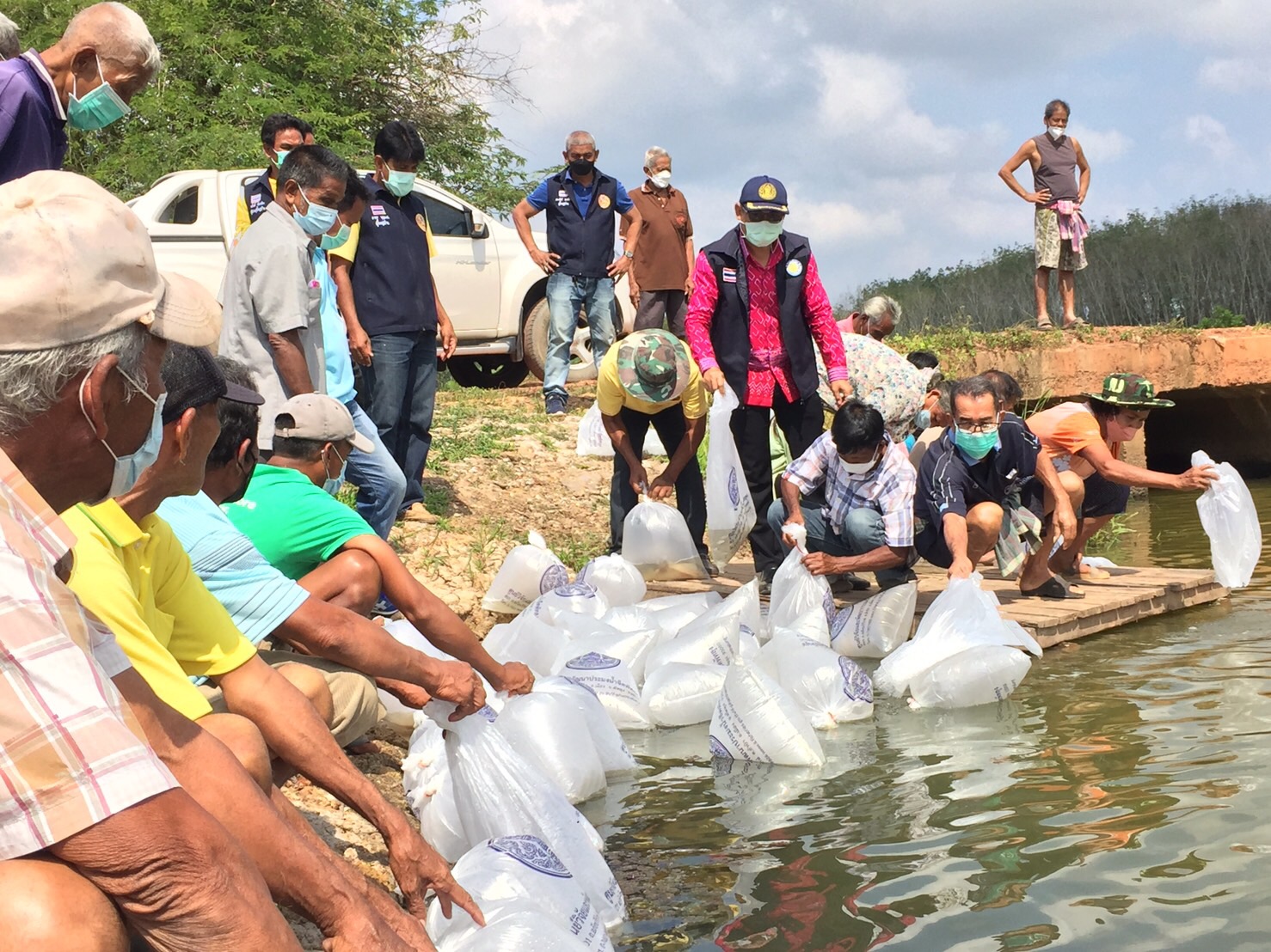 ประมงจังหวัดพัทลง ร่วมปล่อยพันธุ์สัตว์น้ำสู่แหล่งน้ำสาธารณะประโยชน์ อำเภอเขาชัยสน
