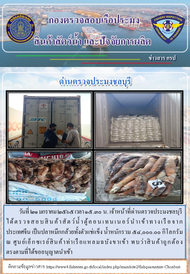 การปฏิบัติงานของเจ้าหน้าที่ด่านตรวจประมงชลบุรีประจำวันที่ 21 มกราคม 2565..คลิก