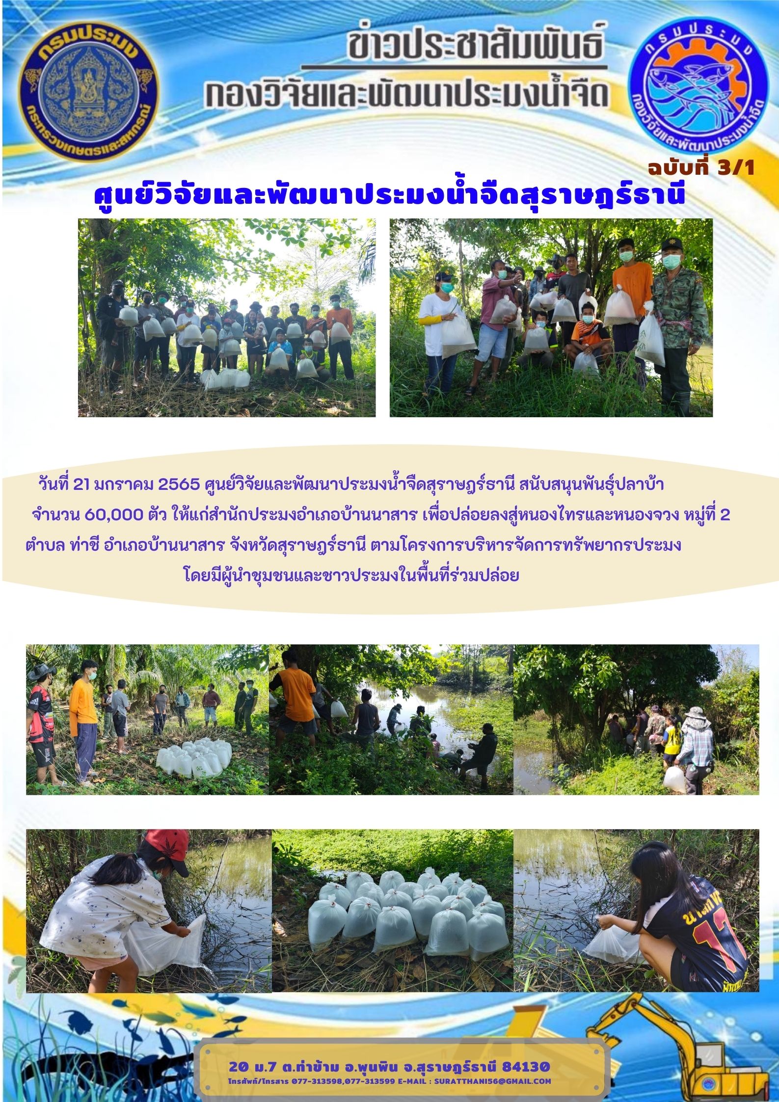 วันที่ 21 มกราคม 2565 ศูนย์วิจัยและพัฒนาประมงน้ำจืดสุราษฎร์ธานี สนับสนุนพันธุ์ปลาบ้า จำนวน 60,000 ตัว..คลิก