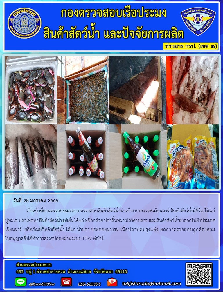 วันที่ 28 มกราคม 2565   	     เจ้าหน้าที่ด่านตรวจประมงตาก ตรวจสอบสินค้าสัตว์น้ำนำเข้าจากประเทศเมียนมาร์ สินค้าสัตว์น้ำมีชีวิต ได้แก่ ปูทะเล ปลาไหลนา สินค้าสัตว์น้ำแช่เย็น ได้แก่ หมึกกล้วย ปลาลิ้นหมา ปลาดาบลาว และสินค้าสัตว์น้ำส่งออกไปยังประเทศเมียนมาร์  ผลิตภัณฑ์สินค้าสัตว์น้ำ ได้แก่ น้ำปลา ซอยหอยนางรม เนื้อปลาบดปรุงแต่ง ผลการตรวจสอบถูกต้องตามใบอนุญาตจึงได้ทำการตรวจปล่อยผ่านระบบ FSW ต่อไป