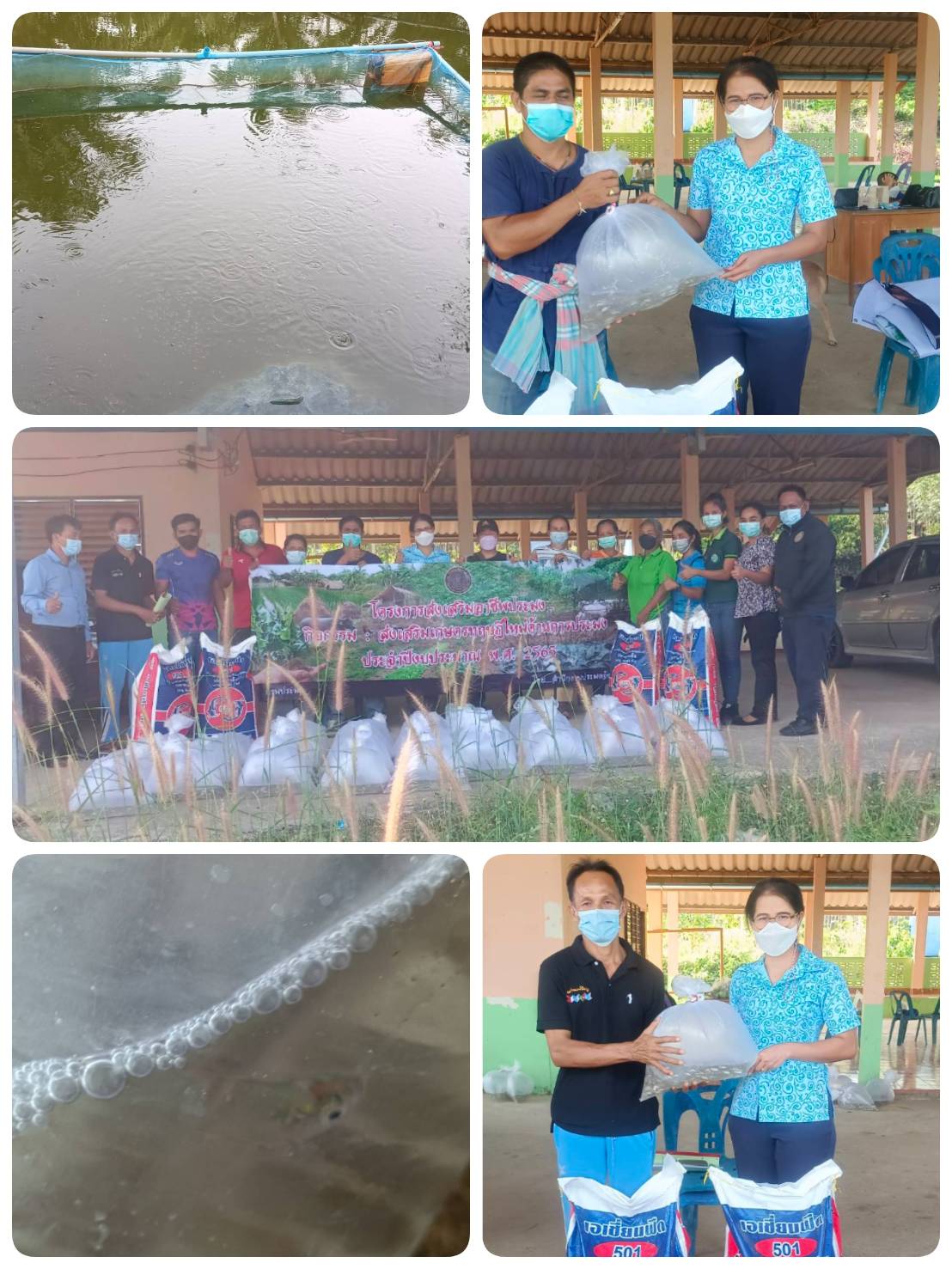 ประมงอำเภอป่าบอน จัดอบรมเกษตรกรที่เข้าร่วมโครงการส่งเสริมอาชีพการประมง กิจกรรมส่งเสริมเกษตรทฤษฎีใหม่ ประจำปีงบประมาณ พ.ศ.2565