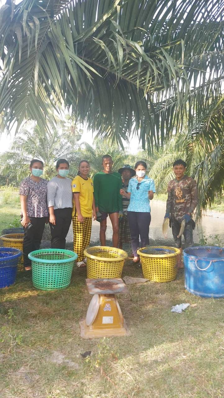 ประมงอำเภอบางแก้ว ลงพื้นที่ตรวจติดตามผลผลิต กลุ่มแปลงใหญ่ปลาดุก พร้อมให้คำแนะนำ..คลิก