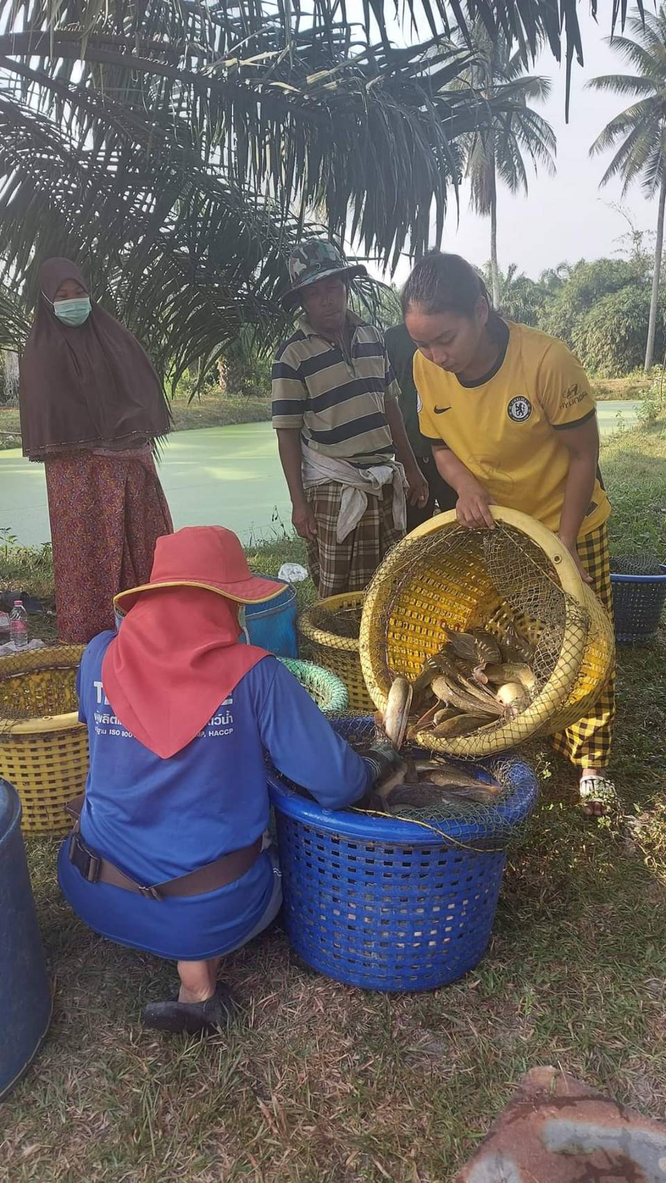 ประมงอำเภอบางแก้ว ลงพื้นที่ตรวจติดตามผลผลิต กลุ่มแปลงใหญ่ปลาดุก พร้อมให้คำแนะนำ
