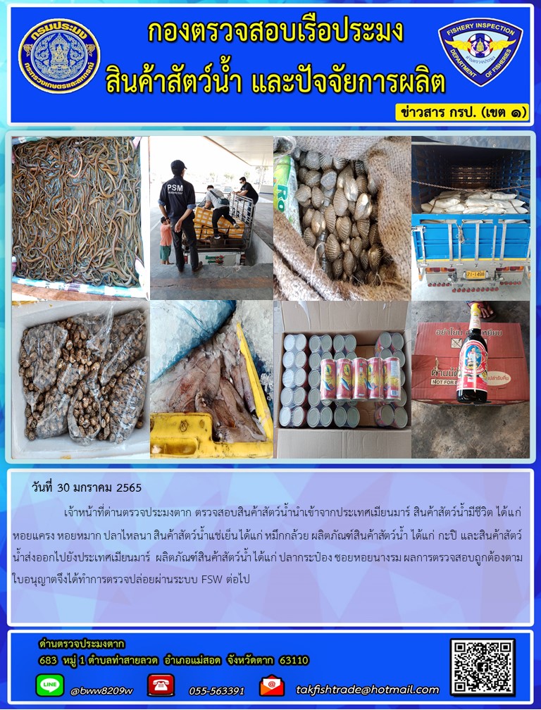 วันที่ 30 มกราคม 2565   	     เจ้าหน้าที่ด่านตรวจประมงตาก ตรวจสอบสินค้าสัตว์น้ำนำเข้าจากประเทศเมียนมาร์ สินค้าสัตว์น้ำมีชีวิต ได้แก่ หอยแครง หอยหมาก ปลาไหลนา สินค้าสัตว์น้ำแช่เย็น ได้แก่ หมึกกล้วย ผลิตภัณฑ์สินค้าสัตว์น้ำ ได้แก่ กะปิ และสินค้าสัตว์น้ำส่งออกไปยังประเทศเมียนมาร์  ผลิตภัณฑ์สินค้าสัตว์น้ำ ได้แก่ ปลากระป๋อง ซอยหอยนางรม ผลการตรวจสอบถูกต้องตามใบอนุญาตจึงได้ทำการตรวจปล่อยผ่านระบบ FSW ต่อไป..คลิก