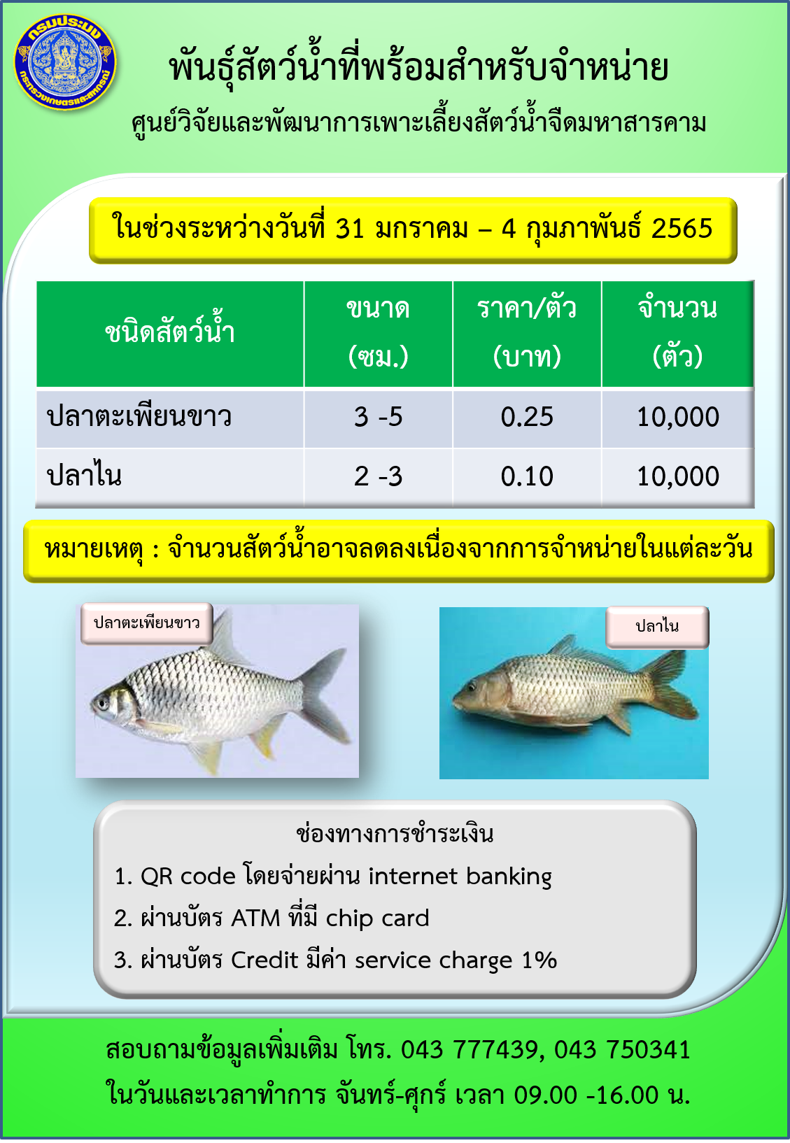 พันธุ์สัตว์น้ำที่พร้อมสำหรับจำหน่าย ระหว่างวันที่ 31 มกราคม - 4 กุมภาพันธ์ 2565..คลิก