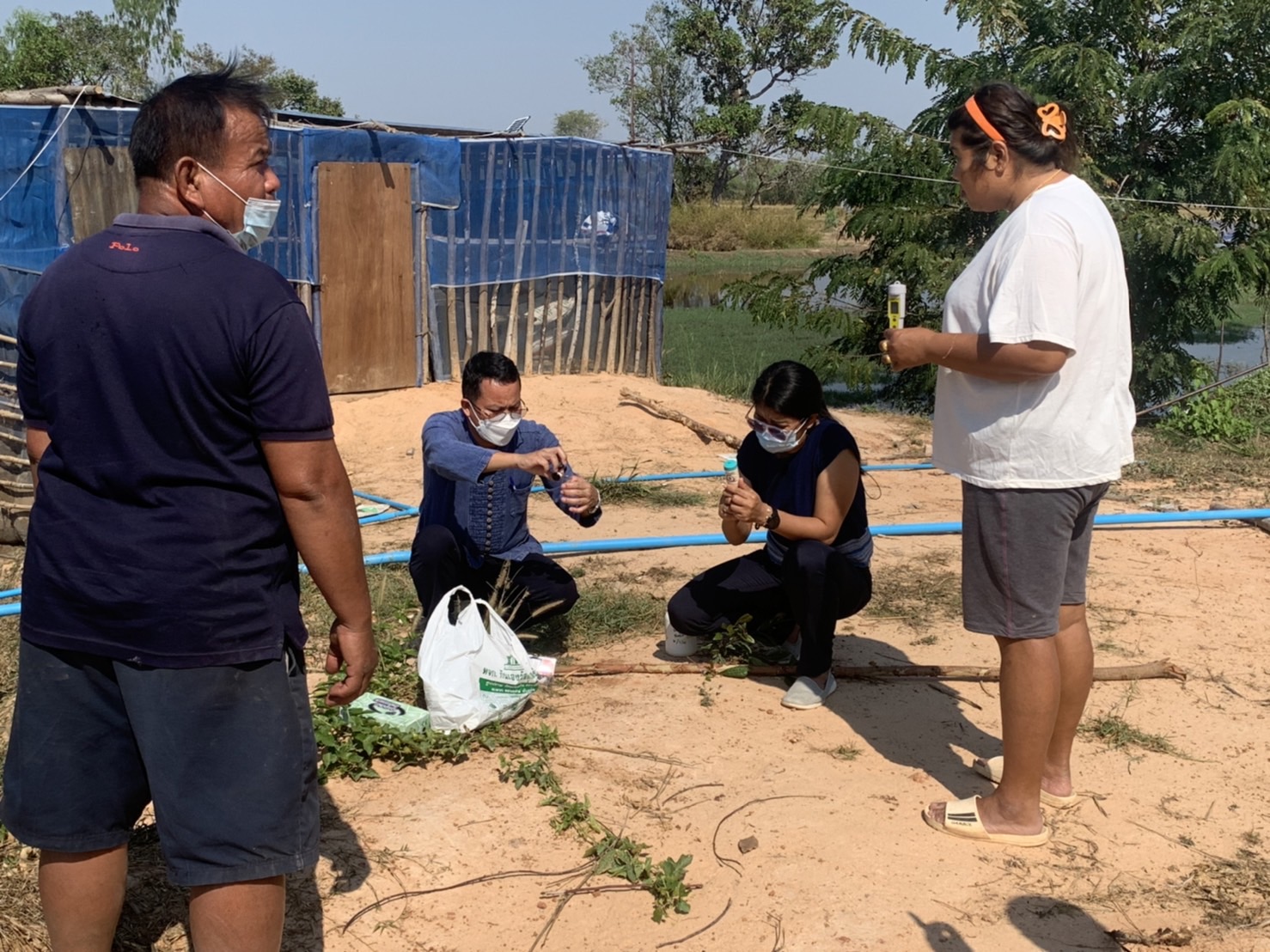 ประมงอำเภอเขื่องในตรวจวัดคุณภาพน้ำในบ่อดินของเกษตรกรหลังปรับปรุงคุณภาพน้ำด้วยปูนขาว..คลิก