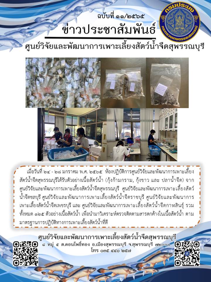 ข่าวประชาสัมพันธ์ฉบับที่ 11 ประจำเดือนมกราคม 2565..คลิก