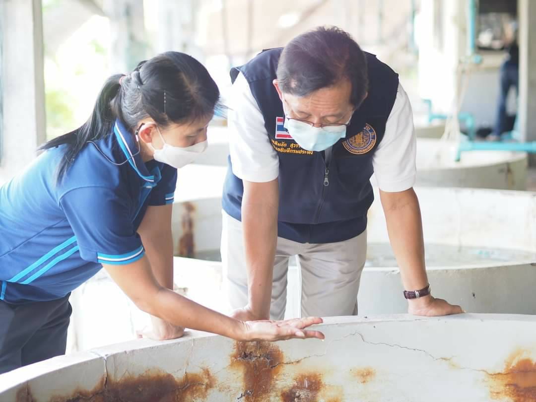 นายเฉลิมชัย สุวรรณรักษ์ รองอธิบดีกรมประมง ตรวจติดตามการปฏิบัติงานด้านการวิจัยและพัฒนาการเพาะเลี้ยงสัตว์น้ำชายฝั่ง..คลิก