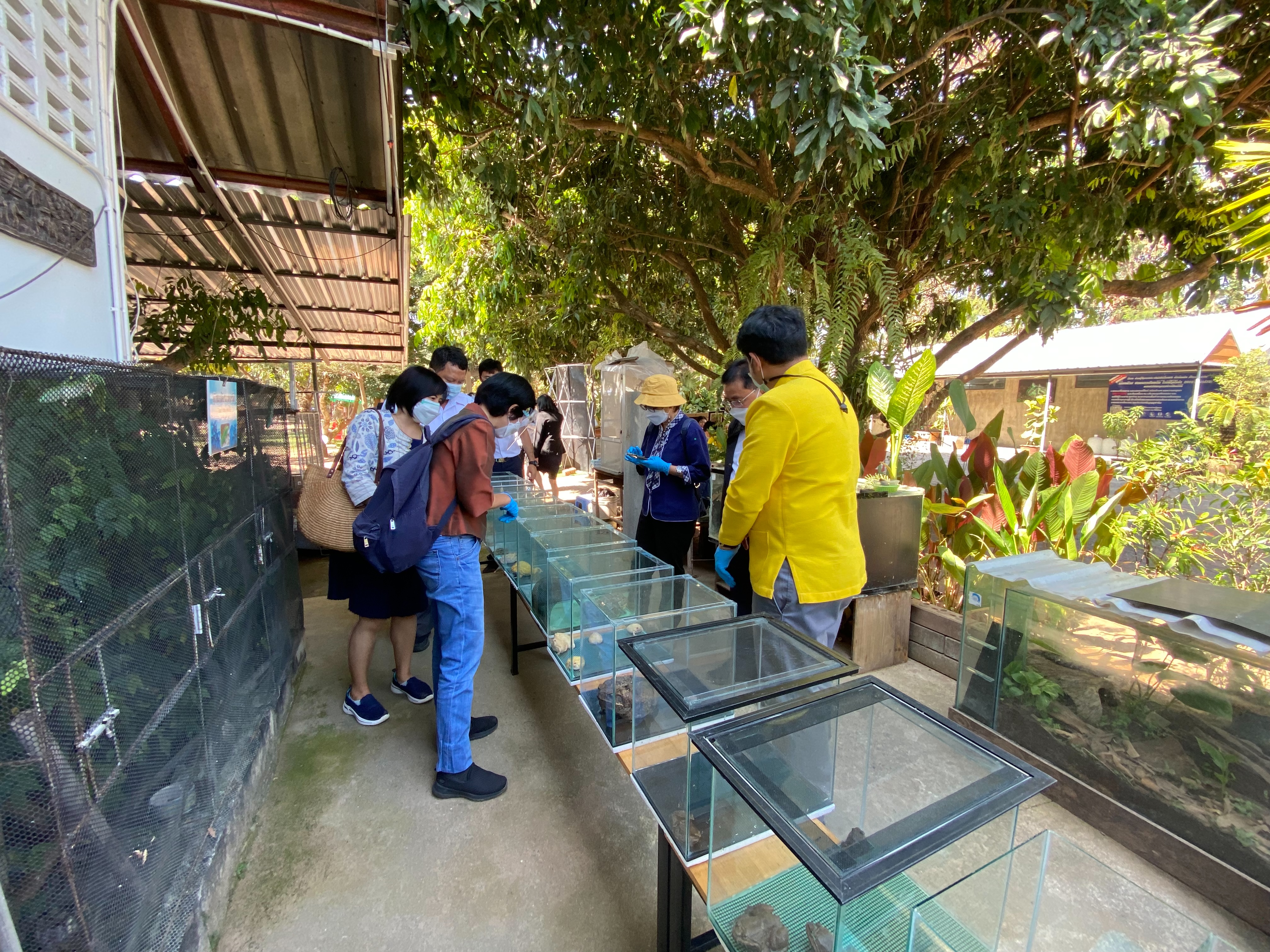 ต้อนรับคณะกรรมการตรวจประเมินเกษตรดีเด่นระดับประเทศด้านประมงและร่วมรับฟังการตรวจประเมินฟาร์มเพาะเลี้ยงกบสวยงาม ณ ศรีบุญชูฟาร์ม..คลิก