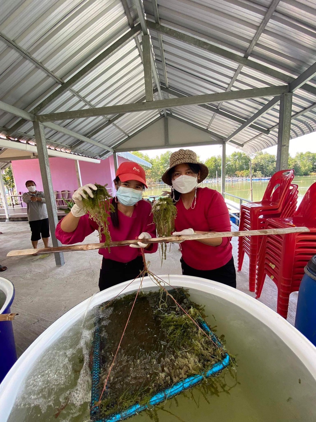 ติดตามงานขยายผลการเลี้ยงสาหร่ายพวงองุ่นภายใต้โครงการส่งเสริมการเลี้ยงสาหร่ายพวงองุ่นในถังไฟเบอร์กลาสโรงเรียนตำรวจตระเวนชายแดนบ้านน้ำแดง ต.บางชัน อ.ขลุง จ.จันทบุรี