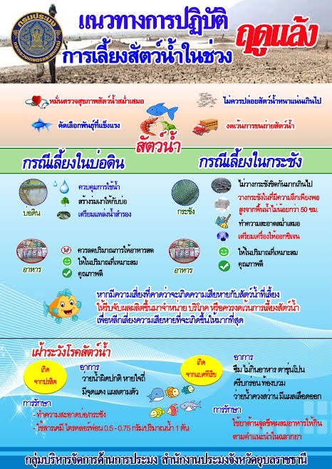 ประมงจังหวัดอุบล ลงพื้นที่ตรวจเยี่ยมสร้างขวัญกำลังใจให้กลุ่มผู้เลี้ยงปลากระชังในแม่น้ำมูล ในช่วงฤดูแล้ง..คลิก