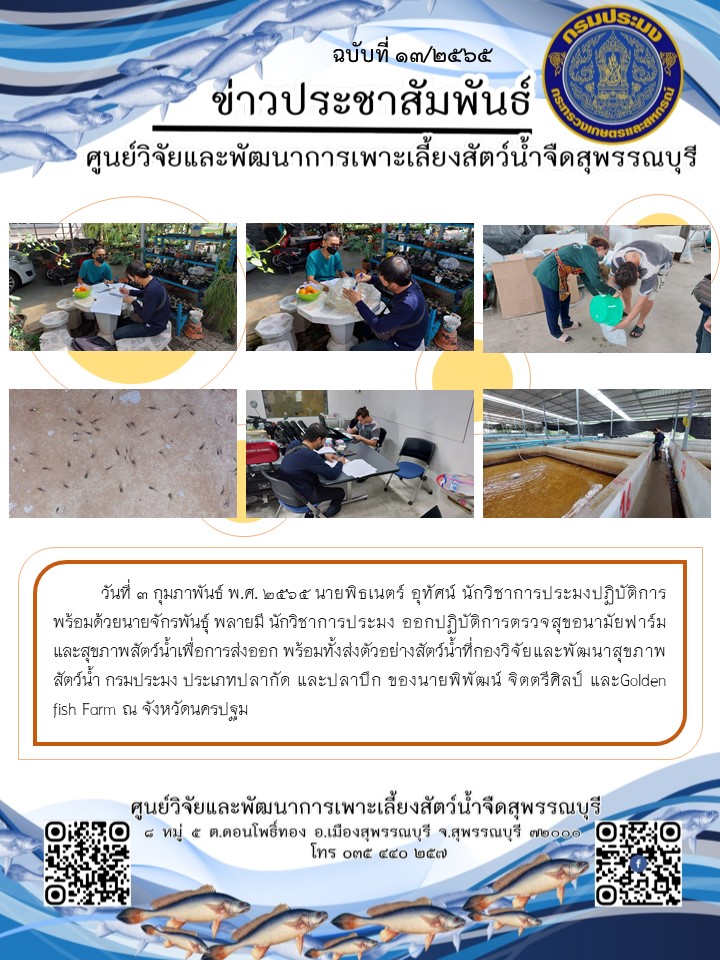 ข่าวประชาสัมพันธ์ฉบับที่ 13 ประจำเดือนกุมภาพันธ์ 2565..คลิก