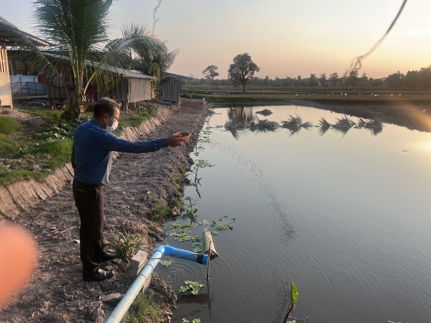 ประมงจังหวัดอุบลฯ ประมงอำเภอม่วงสามสิบ ลงพื้นที่ตรวจเยี่ยม เรียนรู้ ติดตามเกษตรกร ในพื้นที่อำเภอม่วงสามสิบ จังหวัดอุบลราชธานี..คลิก