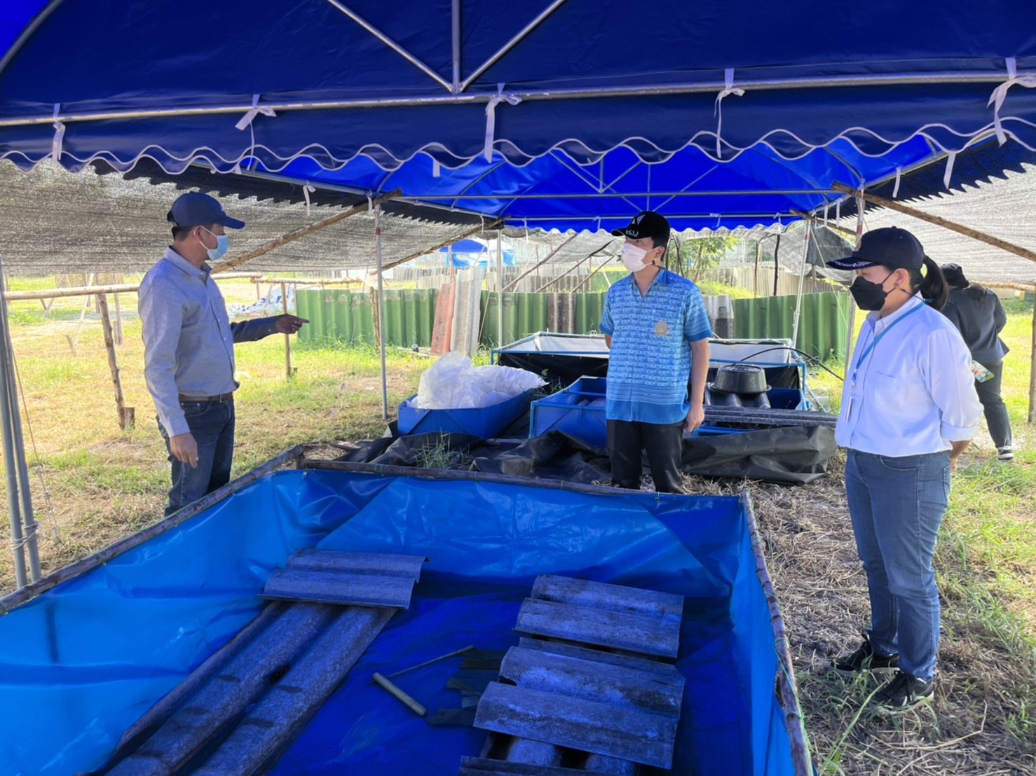 (อ.ไทรน้อย) ตรวจสอบการขอขึ้นทะเบียน ทบ.1 รายใหม่ และรับสมัครเกษตรกรเข้าร่วมโครงการ GAP..คลิก