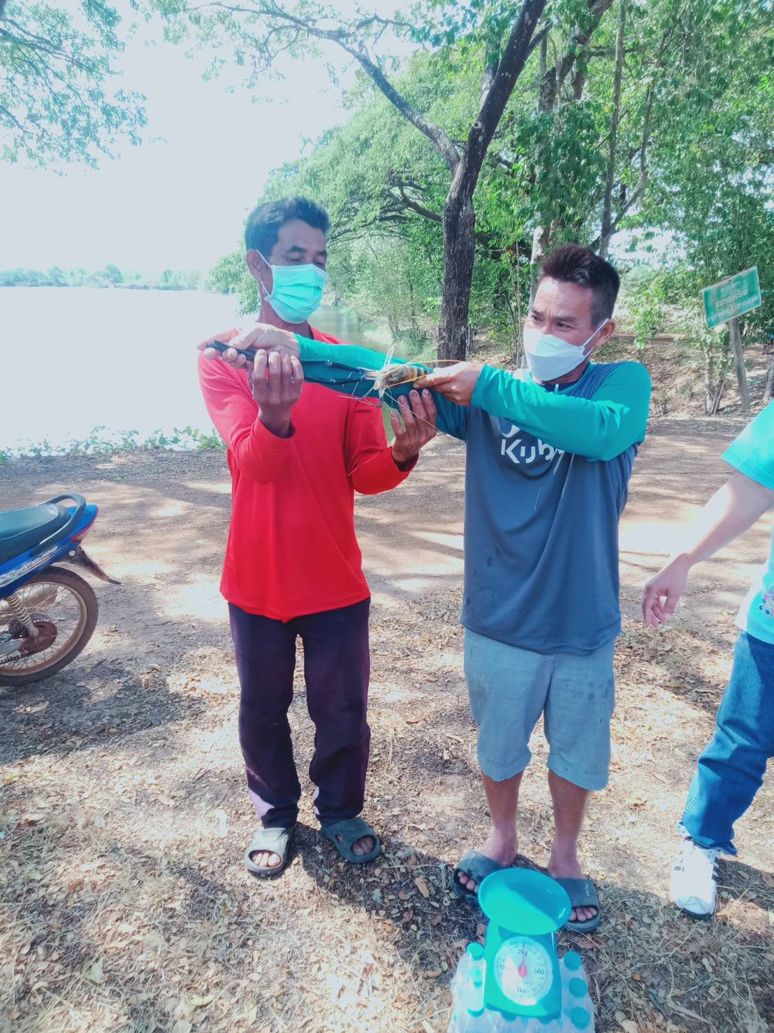 ประมงอำเภอม่วงสามสิบ ลงพื้นที่ บ้านดุมใหญ่ หมู่ 6 ต.ดุมใหญ่ อ.ม่วงสามสิบ จ.อุบลราชธานี เพื่อปฏิบัติงานด้านประมงในพื้นที่อำเภอม่วงสามสิบ..คลิก