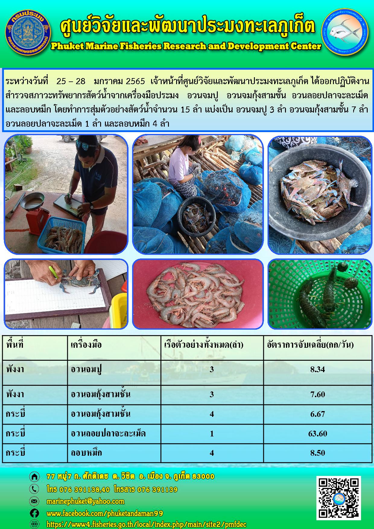 ระหว่างวันที่ 25 – 28 มกราคม 2565 เจ้าหน้าที่ศูนย์วิจัยและพัฒนาประมงทะเลภูเก็ต ได้ออกปฏิบัติงานสำรวจสภาวะทรัพยากรสัตว์น้ำจากเครื่องมือประมง อวนจมปู อวนจมกุ้งสามชั้น อวนลอยปลาจะละเม็ด และลอบหมึก..คลิก