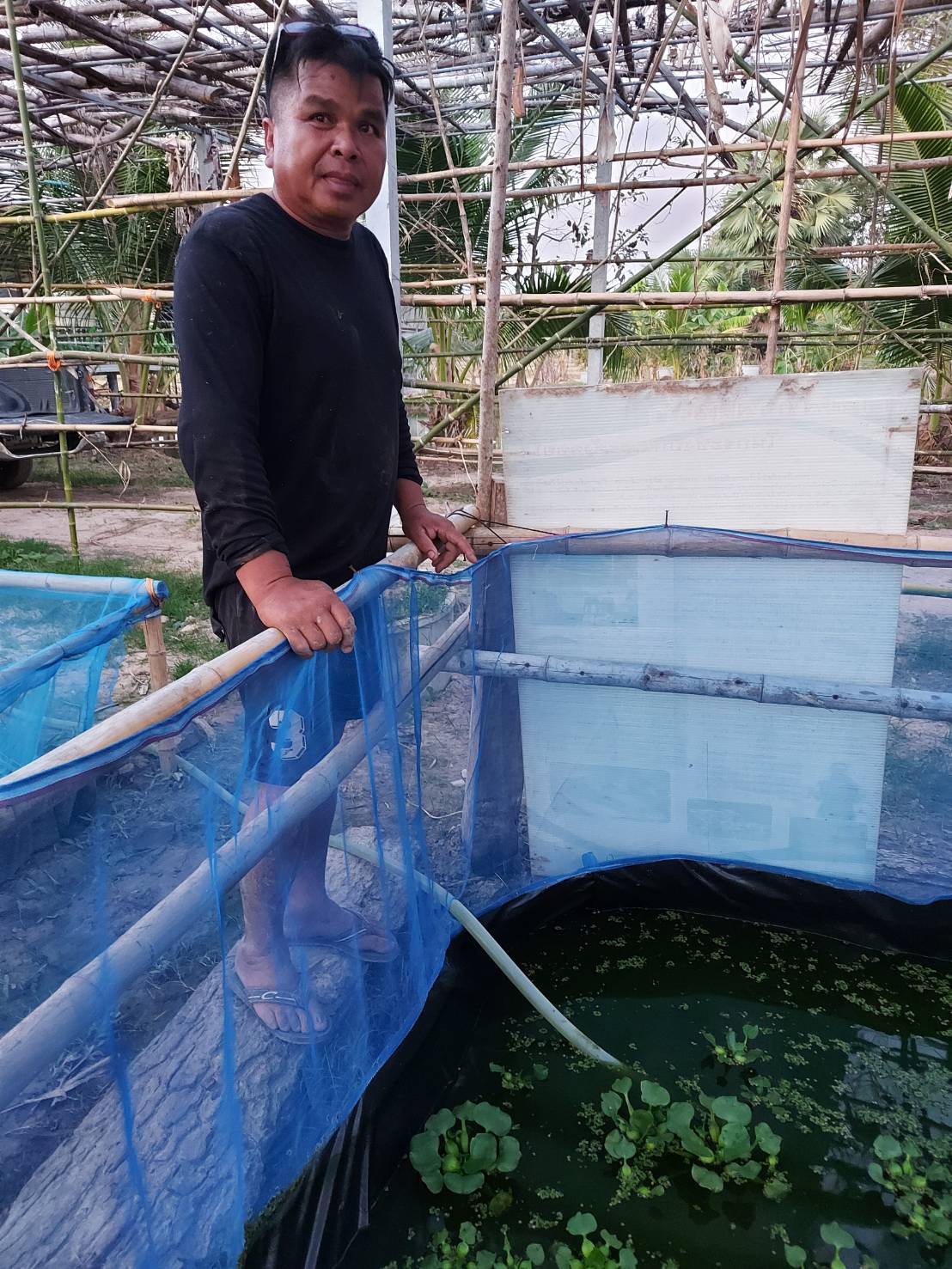 ประมงอำเภอม่วงสามสิบ ติดตามการดำเนินโครงการศูนย์เครือข่ายด้านประมง ปี 2564 ของนายสมพร  สัจธรรม กิจกรรมเลี้ยงปลาดุกในกระชังบก..คลิก