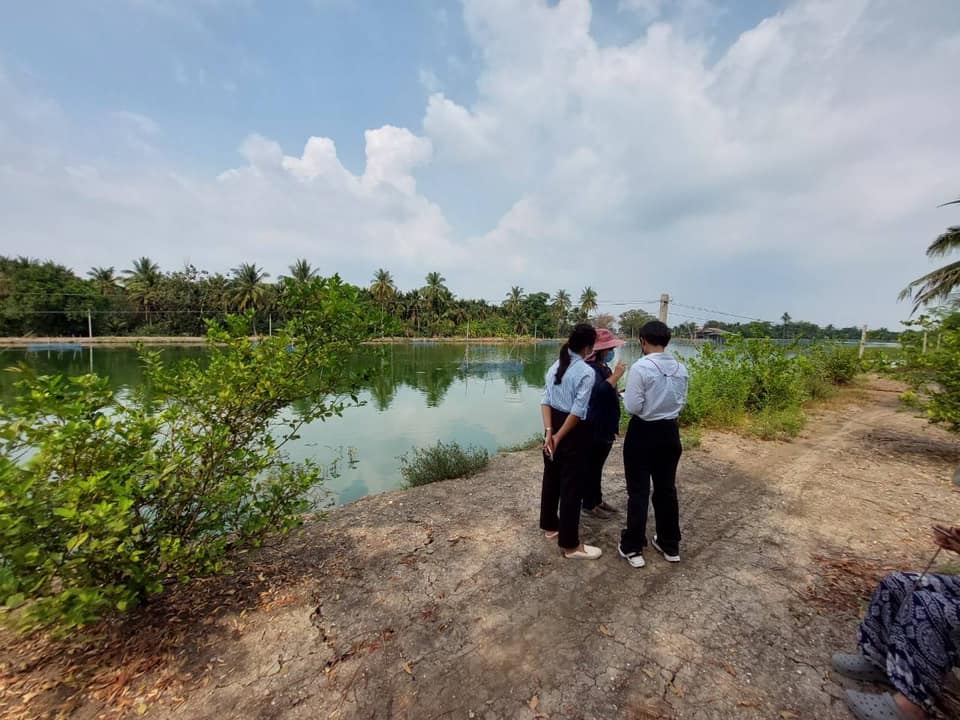 ลงพื้นติดตามผลการดำเนินงานโครงการระบบส่งเสริมเกษตรแบบแปลงใหญ่ (สัตว์น้ำจืด) แปลงติดตามปี 2563 (ปลาสวยงาม) อำเภอบ้านโป่ง และแปลงติดตามปี 2564 (ปลาสลิด) อำเภอบางแพ..คลิก