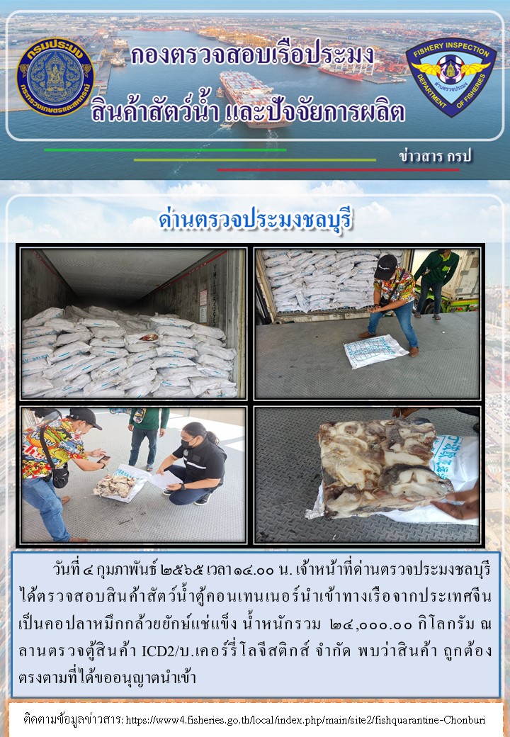 การปฏิบัติงานของเจ้าหน้าที่ด่านตรวจประมงชลบุรีประจำวันที่ 4 กุมภาพันธ์ 2565..คลิก