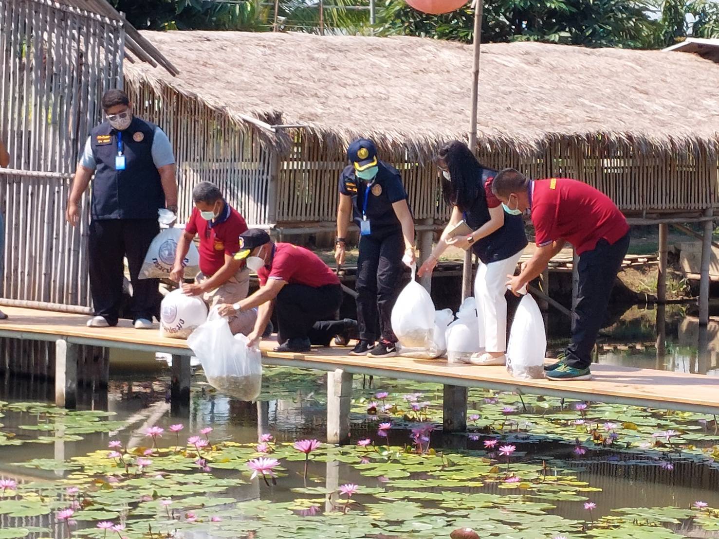 ปล่อยพันธุ์ปลาในโครงการฝึกวิชาชีพเลี้ยงปลากินพืชเลียนแบบธรรมชาติ เรือนจำชั่วคราวคลองโพธิ์ อำเภอเมืองนครสวรรค์ จังหวัดนครสวรรค์..คลิก