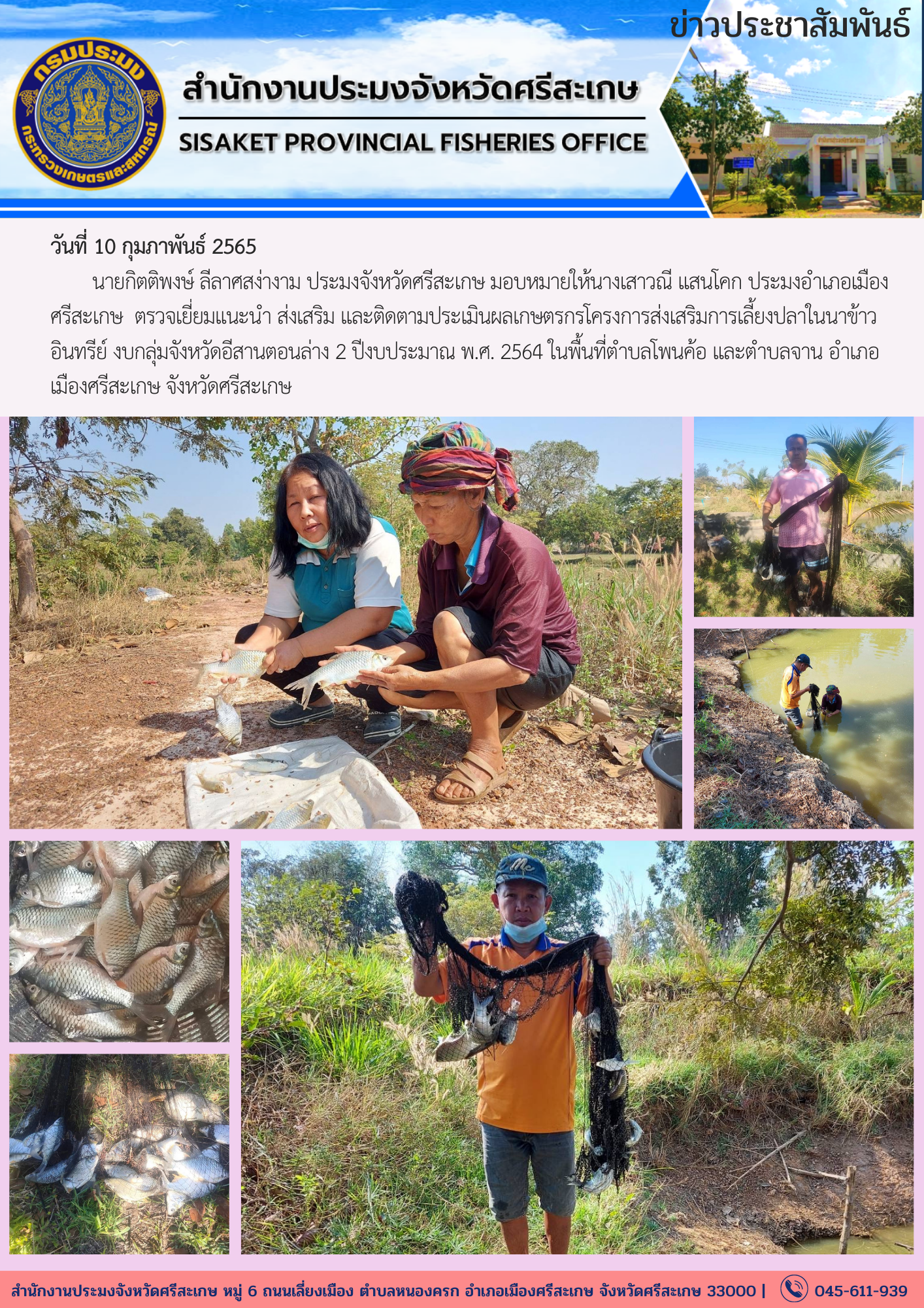 นายกิตติพงษ์ ลีลาศสง่างาม ประมงจังหวัดศรีสะเกษ มอบหมายให้เสาวณี แสนโคก ประมงอำเภอเมืองศรีสะเกษ ตรวจเยี่ยมแนะนำ ส่งเสริม และติดตามประเมินผลเกษตรกรโครงการส่งเสริมการเลี้ยงปลาในนาข้าวอินทรีย์..คลิก