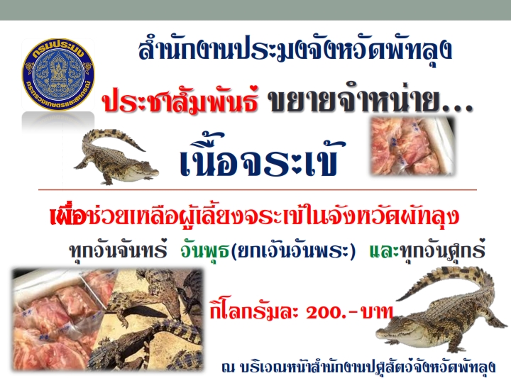 สำนักงานประมงจังหวัดพัทลุง ประชาสัมพันธ์ขยายการจำหน่ายจระเข้ เพื่อช่วยเหลือเกษตรกรผู้เพาะเลี้ยงจระเข้ในจังหวัดพัทลุง..คลิก