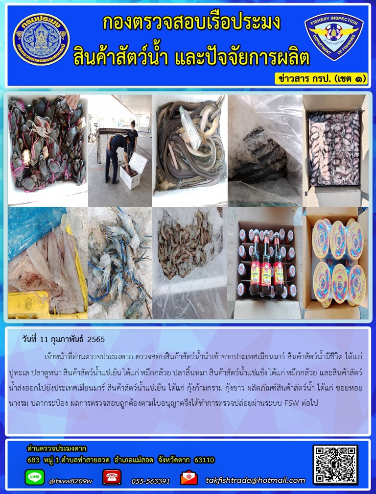 วันที่ 11 กุมภาพันธ์ 2565   	     เจ้าหน้าที่ด่านตรวจประมงตาก ตรวจสอบสินค้าสัตว์น้ำนำเข้าจากประเทศเมียนมาร์ สินค้าสัตว์น้ำมีชีวิต ได้แก่ ปูทะเล ปลาตูหนา สินค้าสัตว์น้ำแช่เย็น ได้แก่ หมึกกล้วย ปลาลิ้นหมา สินค้าสัตว์น้ำแช่แข็ง ได้แก่ หมึกกล้วย และสินค้าสัตว์น้ำส่งออกไปยังประเทศเมียนมาร์ สินค้าสัตว์น้ำแช่เย็น ได้แก่ กุ้งก้ามกราม กุ้งขาว ผลิตภัณฑ์สินค้าสัตว์น้ำ ได้แก่ ซอยหอยนางรม ปลากระป๋อง ผลการตรวจสอบถูกต้องตามใบอนุญาตจึงได้ทำการตรวจปล่อยผ่านระบบ FSW ต่อไป..คลิก