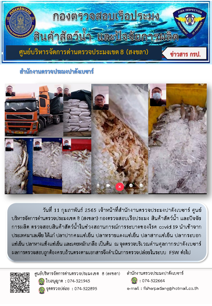 ประชาสัมพันธ์การปฏิบัติงาน วันที่ 11 กุมภาพันธ์ 2565  สำนักงานตรวจประมงปาดังเบซาร์..คลิก