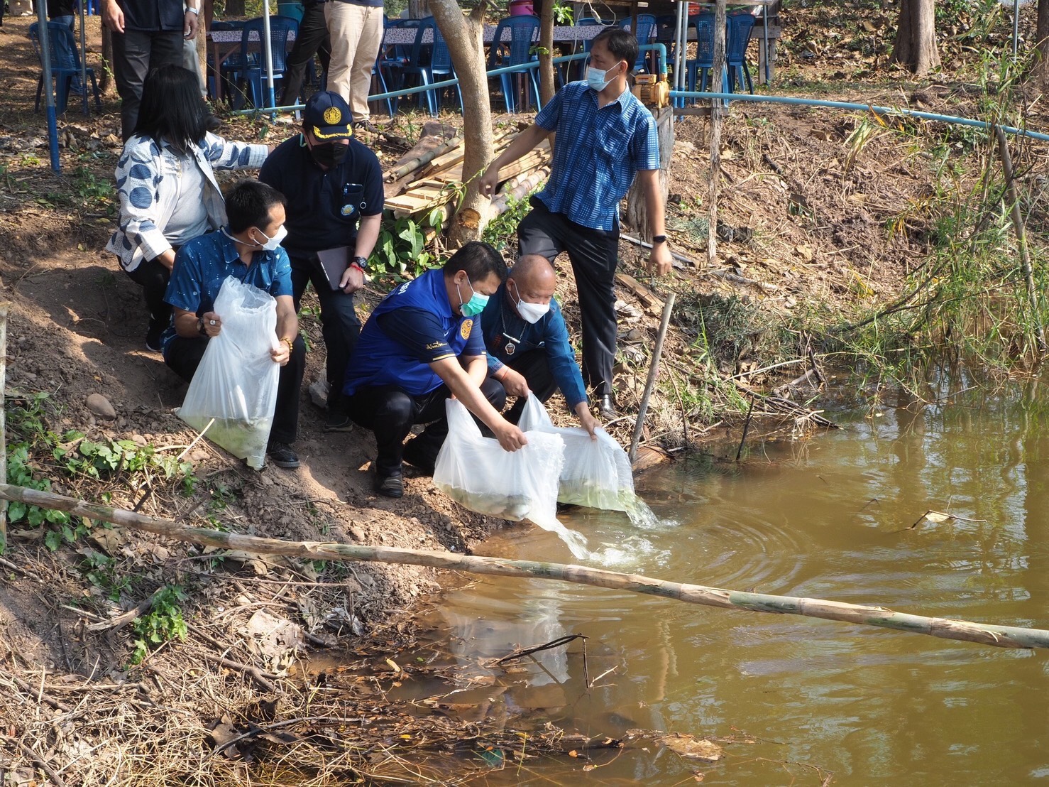 โครงการธนาคารผลผลิตสัตว์น้ำแบบมีส่วนร่วม แหล่งน้ำห้วยแม่ลูกอ่อน หมู่ 7 หมู่บ้าน ฟ้าใหม่ ต.สระ อ.เชียงม่วน จ.พะเยา..คลิก